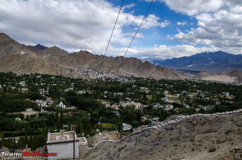 25-0-40 DownUnder to UpOver - LEH'd 2013-lecleh_city18.jpg