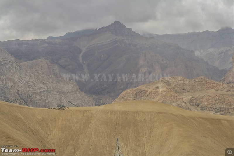 The Yayawar Group wanders in Ladakh & Spiti-5.24.jpg