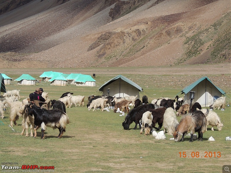 A Biker's Anthem: Ladakh-goat-camp.jpg