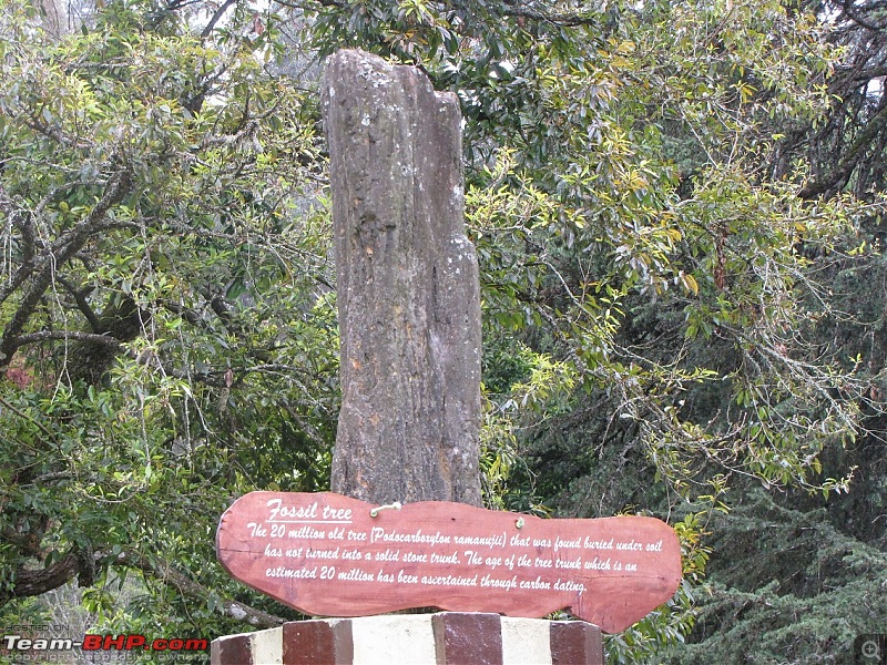 Queen of the hills beckons - Ooty-img_1179.jpg