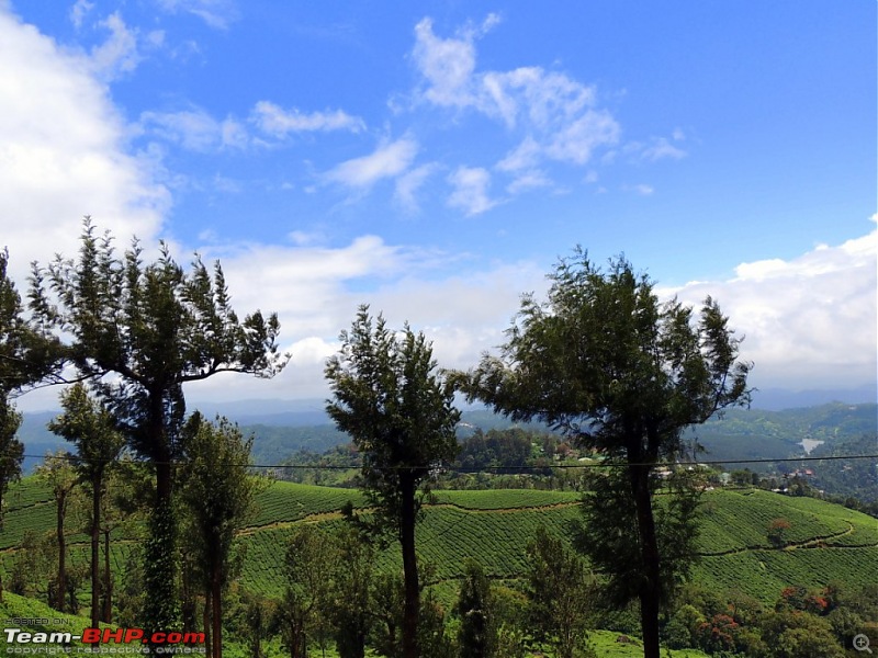 Breathe, you are in God's own country! A visit to Munnar-3-pallivasal-2.jpg