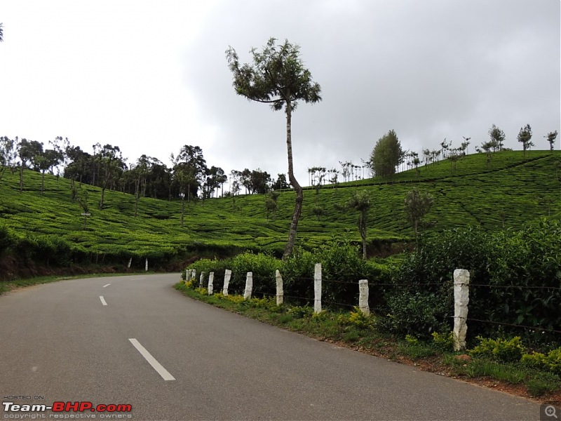 Breathe, you are in God's own country! A visit to Munnar-6-enroute-top-station-5.jpg