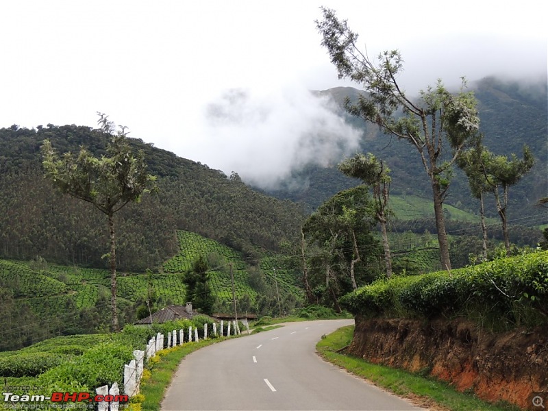 Breathe, you are in God's own country! A visit to Munnar-6-enroute-top-station-1.jpg