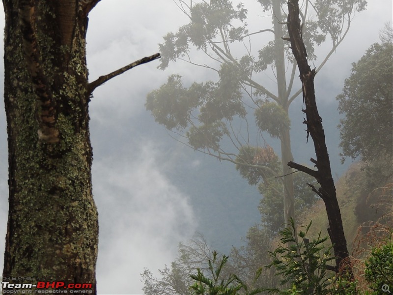 Breathe, you are in God's own country! A visit to Munnar-8-top-station-5.jpg
