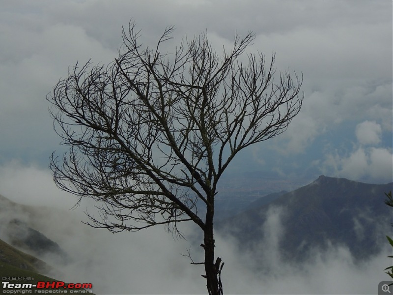Breathe, you are in God's own country! A visit to Munnar-8-top-station-6.jpg