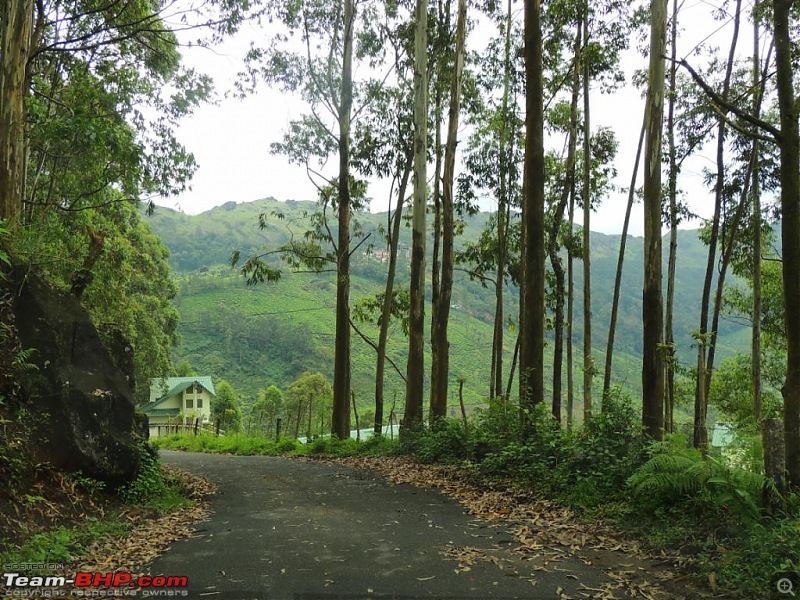 Breathe, you are in God's own country! A visit to Munnar-12-attukad-falls-1.jpg
