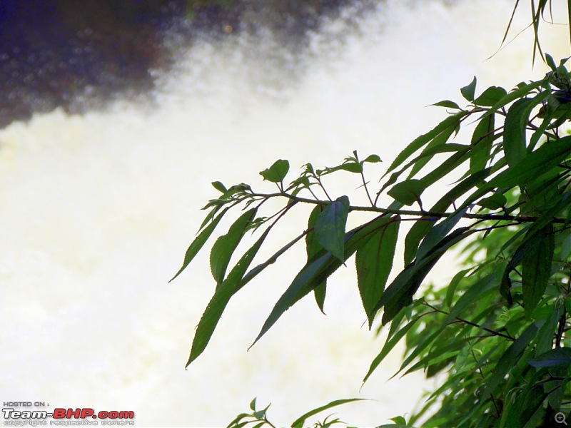Breathe, you are in God's own country! A visit to Munnar-12-attukad-falls-9.jpg