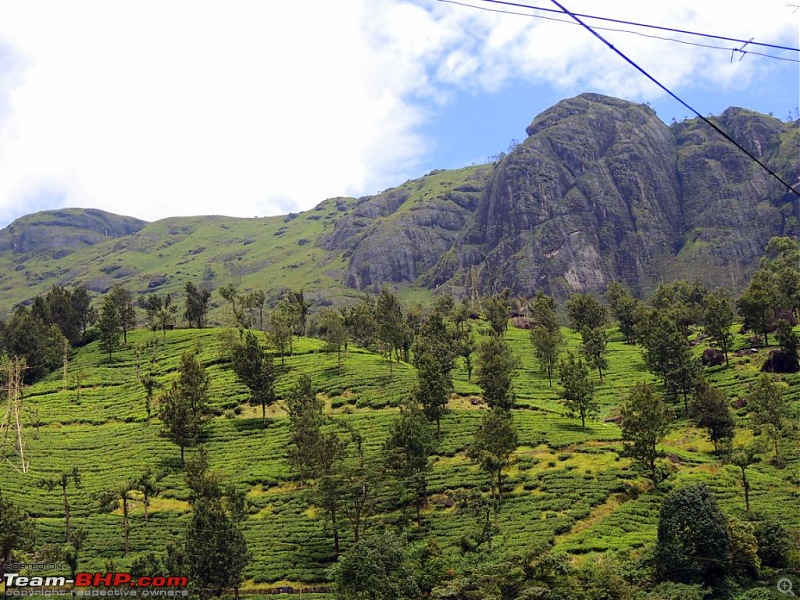 Breathe, you are in God's own country! A visit to Munnar-12-attukad-falls-5.jpg