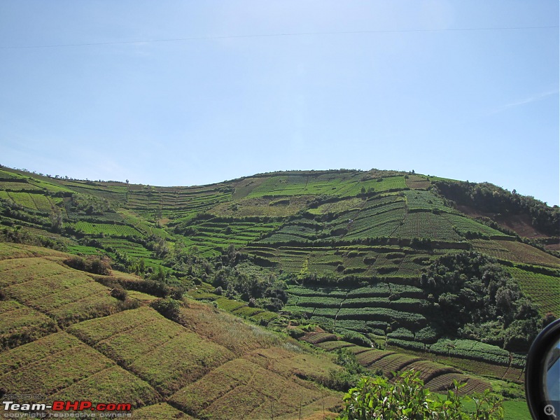 Queen of the hills beckons - Ooty-img_1865.jpg