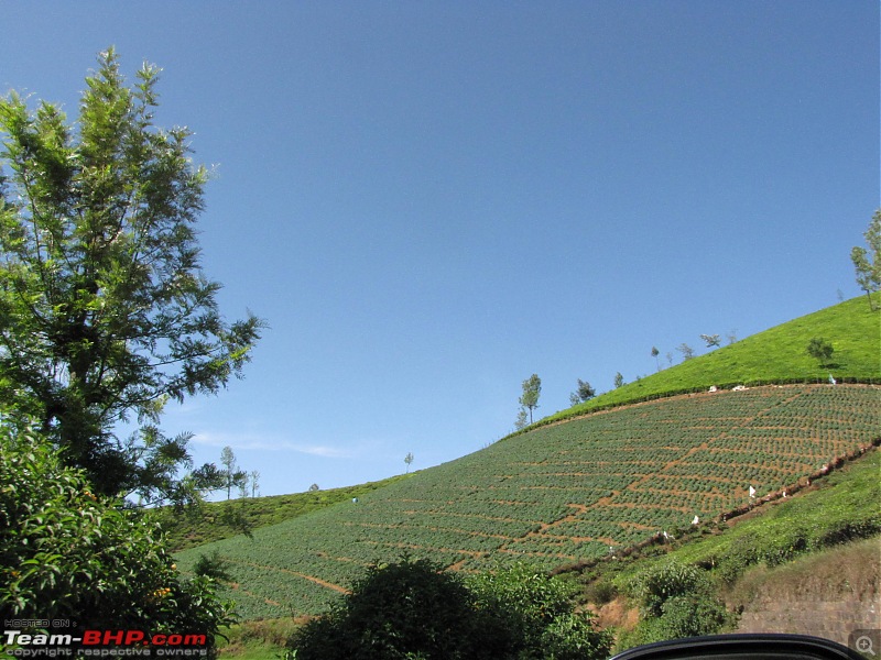 Queen of the hills beckons - Ooty-img_1868.jpg