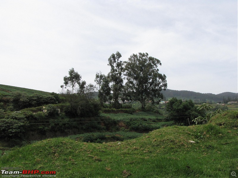 Queen of the hills beckons - Ooty-img_2064.jpg