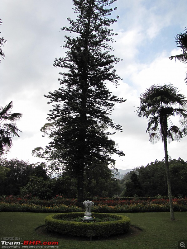 Queen of the hills beckons - Ooty-img_2130.jpg