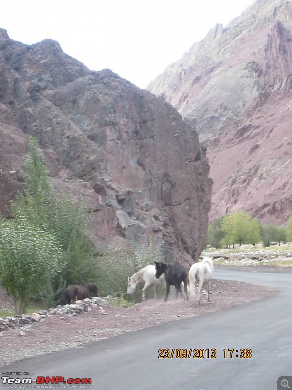 Obelix (Toyota Fortuner) goes to Kinnaur, Spiti and Leh!-3.jpg