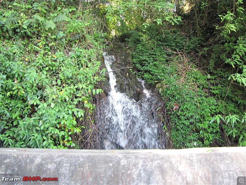 Queen of the hills beckons - Ooty-img_2317.jpg