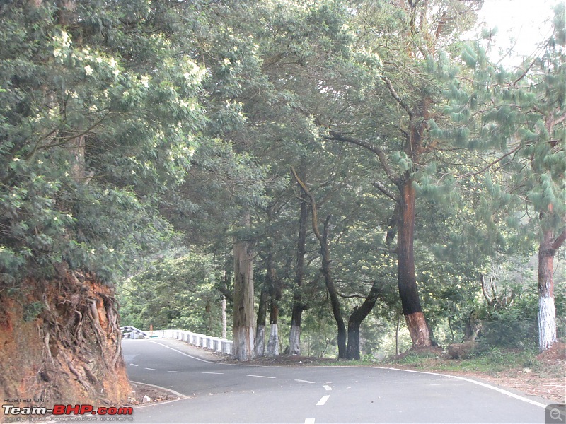 Queen of the hills beckons - Ooty-img_1372.jpg