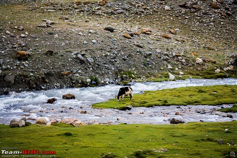 The Yayawar Group wanders in Ladakh & Spiti-8.60.jpg
