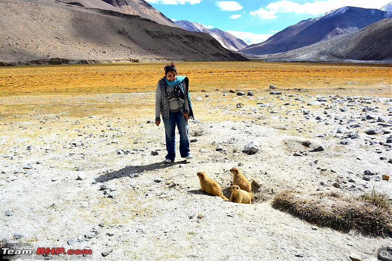 A Quick Trip to Ladakh (by Flight)-mrsdeepak.jpg