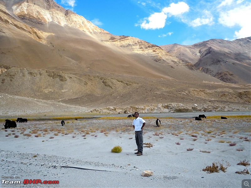 A Quick Trip to Ladakh (by Flight)-yaknme.jpg