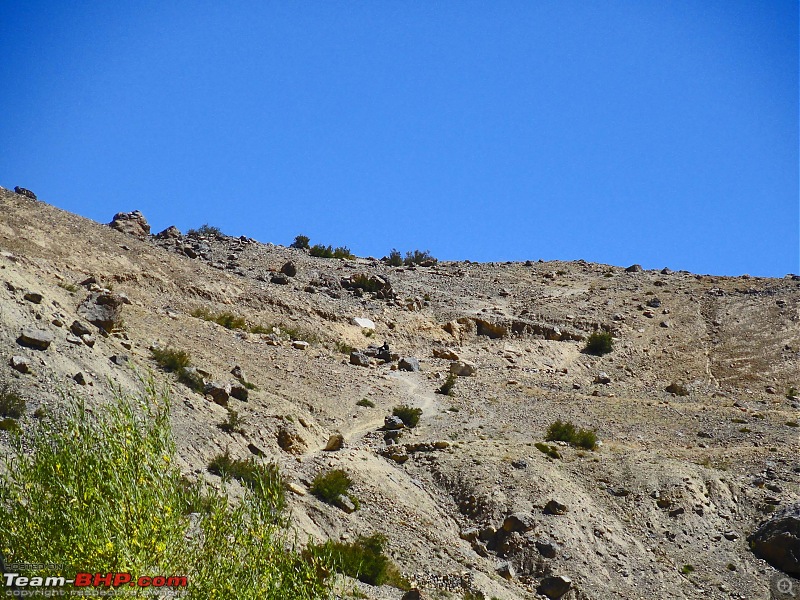 Spiti Expedition 2013-trek-path.jpg