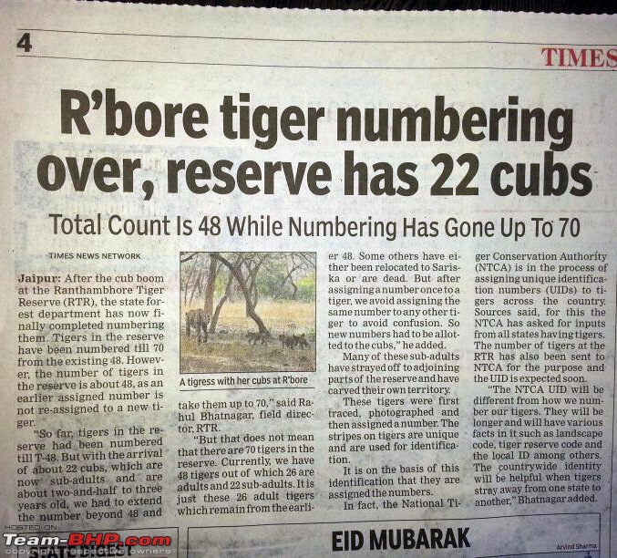 Gurgaon - Ranthambhore - Jodhpur - Gurgaon: Big Cats call again..!-rtrcubs.jpg