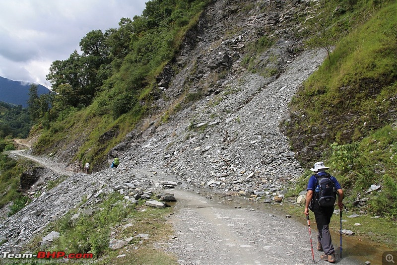 Wandering in the Himalayas : Trek to Annapurna Base Camp-img_3387.jpg