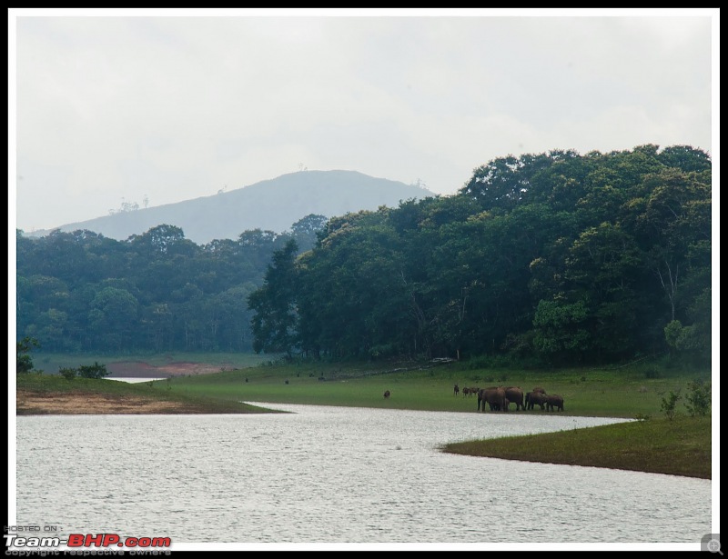 Wanderlust Traveller - Call of the Hills: Munnar, Thekkady & Idukki-suh_9266.jpg