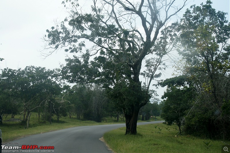 Bangalore  Ooty in a Vento TDI-dsc09008.jpg