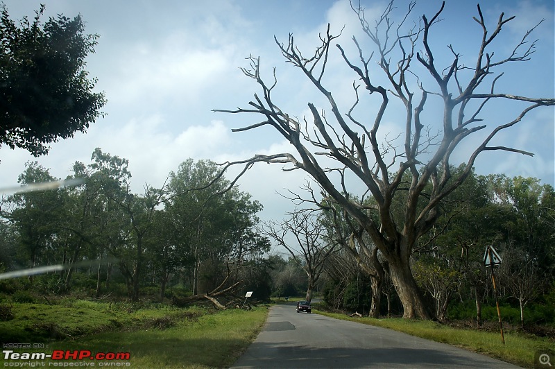 Bangalore  Ooty in a Vento TDI-dsc09026.jpg