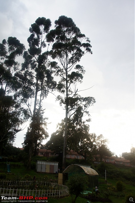 Bangalore  Ooty in a Vento TDI-dsc09286.jpg