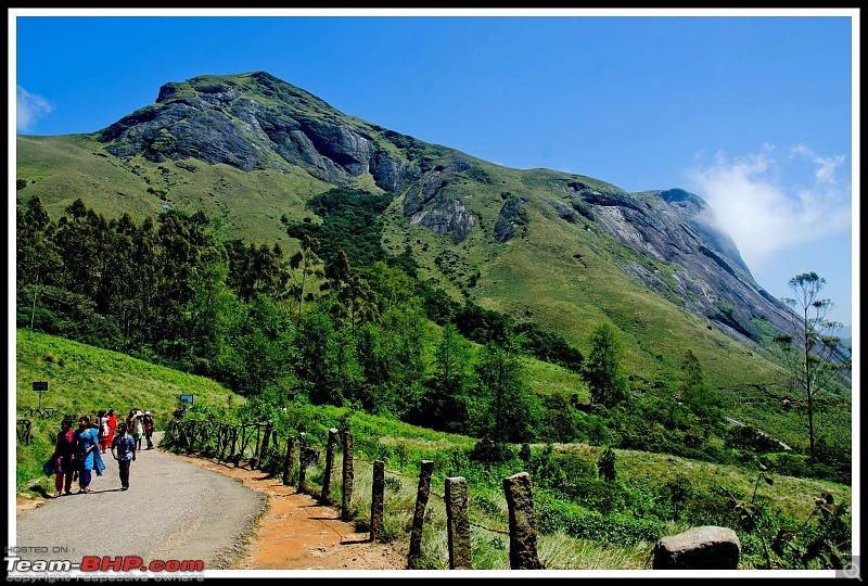 Wanderlust Traveller - Call of the Hills: Munnar, Thekkady & Idukki-suh_9534.jpg