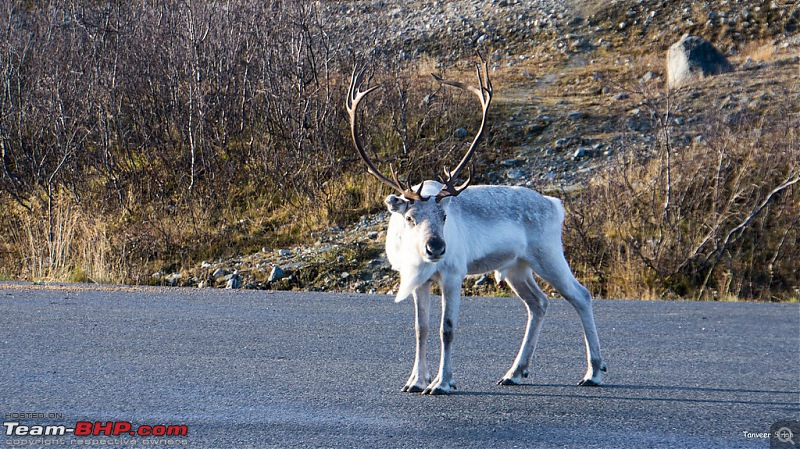 Sonata Arctica : Chasing the Aurora-dsc_dsc01570_lrxl.jpg