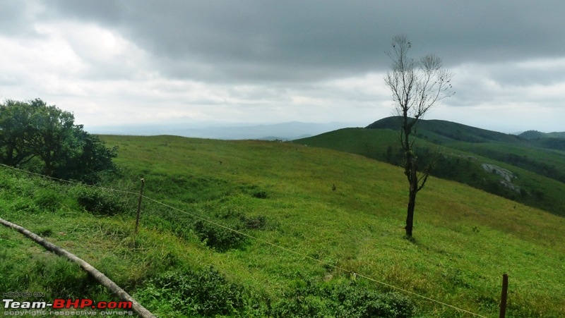 A Family Trip to Bandipur-p1080149.jpg