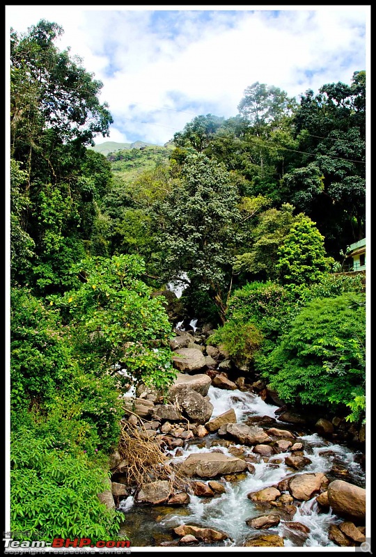 Wanderlust Traveller - Call of the Hills: Munnar, Thekkady & Idukki-suh_9944.jpg
