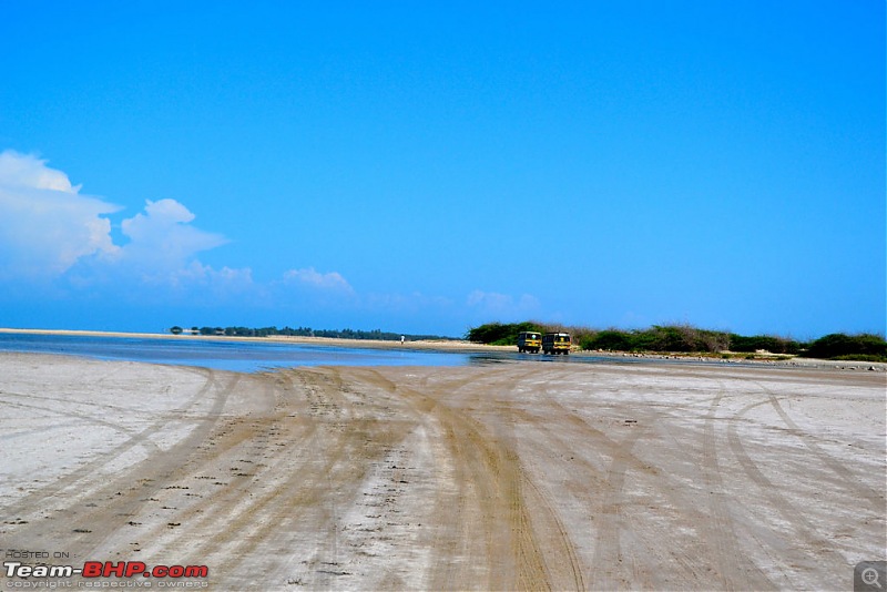 Dhanushkodi - Beauty reclaimed by Nature!-tdsc_2761.jpg