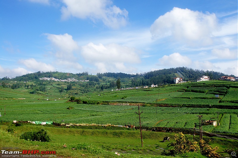 Bangalore  Ooty in a Vento TDI-dsc09322.jpg