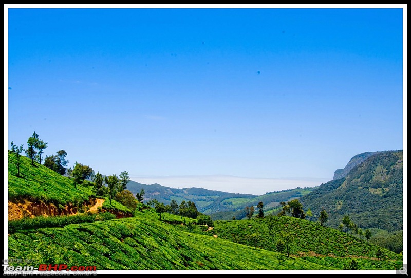 Wanderlust Traveller - Call of the Hills: Munnar, Thekkady & Idukki-suh_9895.jpg