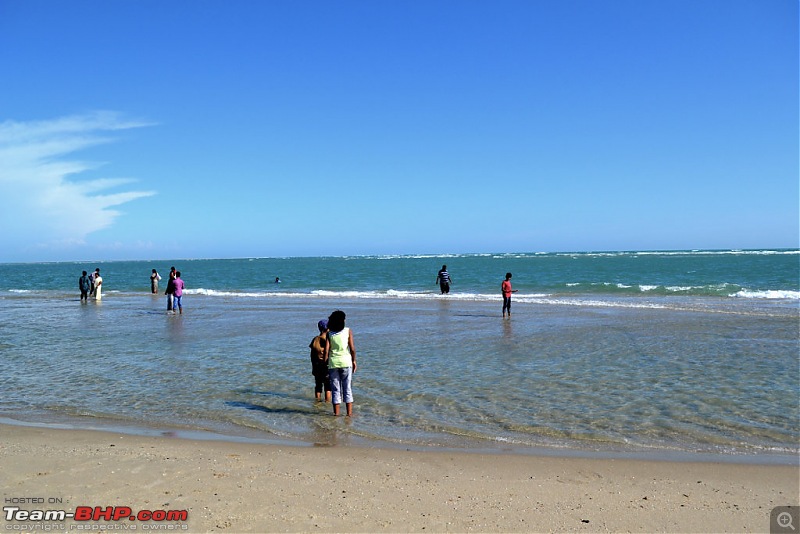 Dhanushkodi - Beauty reclaimed by Nature!-tdsc_2824.jpg