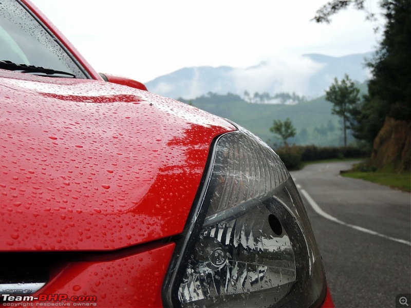 Breathe, you are in God's own country! A visit to Munnar-45.jpg