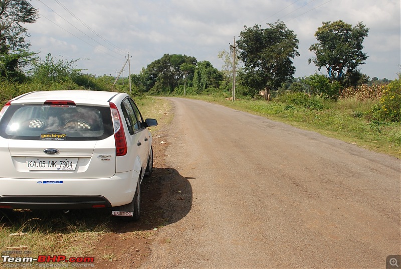 Got BHP? You bet. Of 'B'ears, 'H'aathis and 'P'eacocks at Nagarhole-dsc_0598-large.jpg