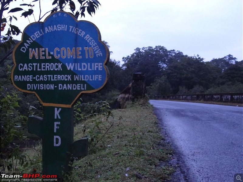 Goa - Where the Greenery meets the Sea-1.jpg