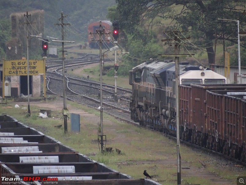 Goa - Where the Greenery meets the Sea-6.jpg