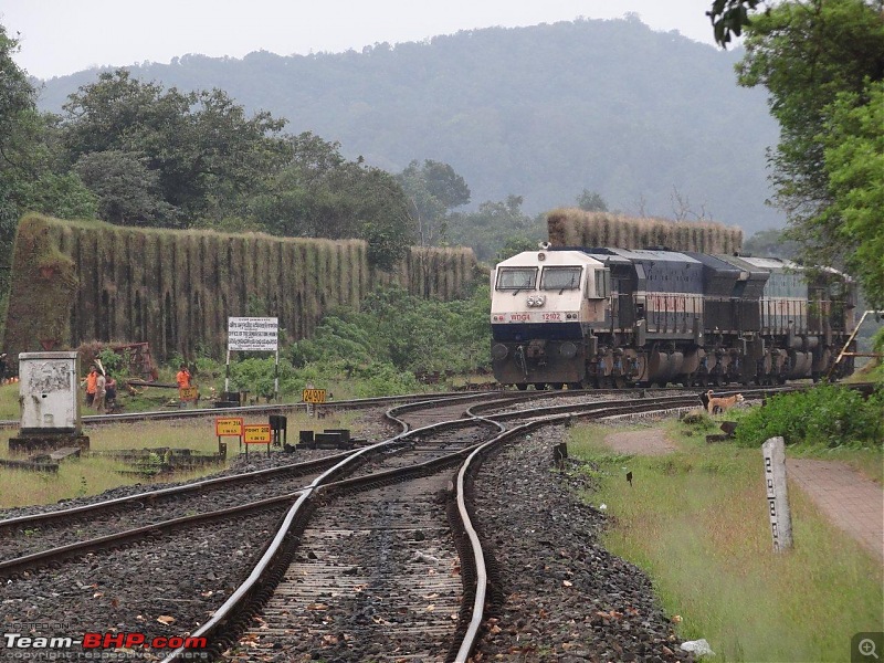 Goa - Where the Greenery meets the Sea-7.jpg