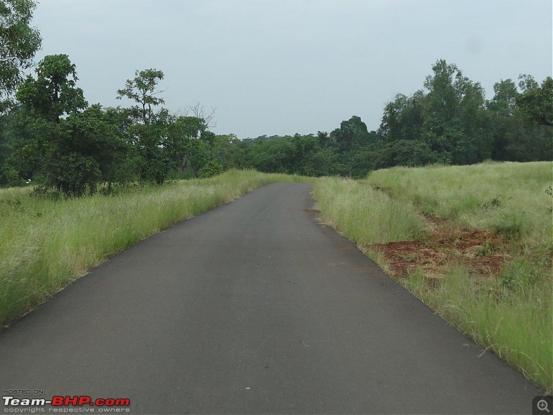 Goa - Where the Greenery meets the Sea-17.jpg