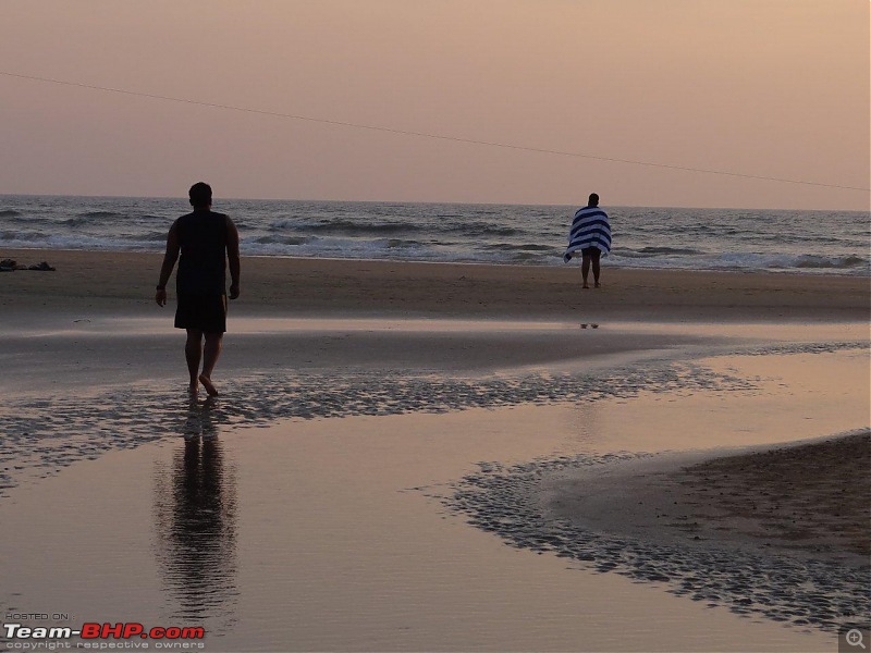 Goa - Where the Greenery meets the Sea-13.jpg