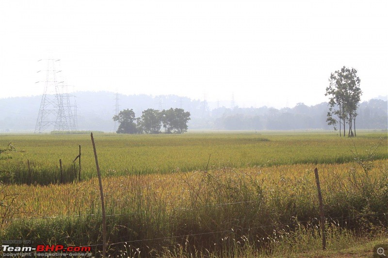 Goa - Where the Greenery meets the Sea-38-2.jpg