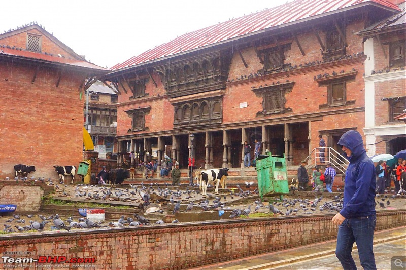 Nepal (Kathmandu and Pokhara) : Dashain, Religion, Phailin and Fun-pashupatinath-4.3.jpg