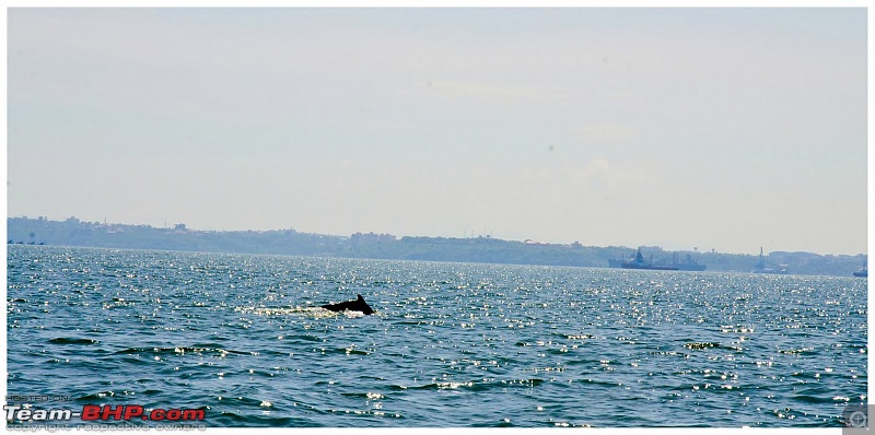 Wanderlust Traveler @ Goa: Beaches, Forts, Churches, Dolphins and a Taxi-suh_0697.jpg