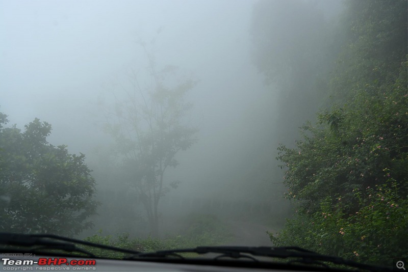 Driving down Kodaikanal - The Adukkam Route-r_fog.jpg