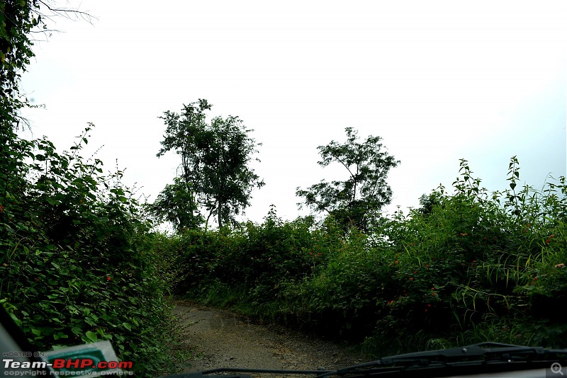 Driving down Kodaikanal - The Adukkam Route-x_narow.jpg