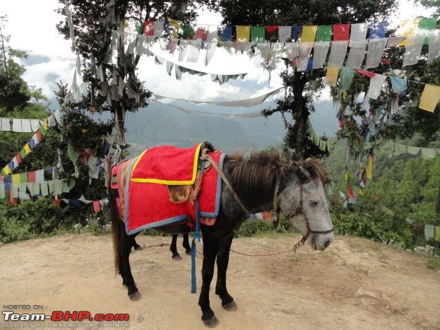 Bhutan : Mountains, Monasteries, Monks and more...-dsc08191-small.jpg